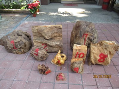 南投林區管理處與竹山分局共同查獲贓木與犯嫌